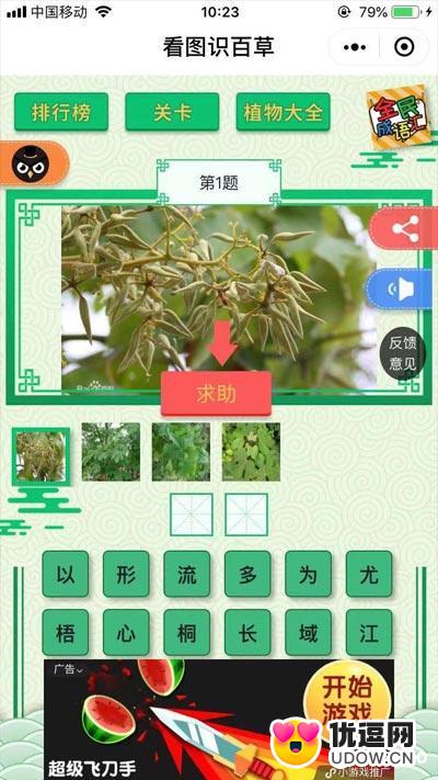 看图识百草